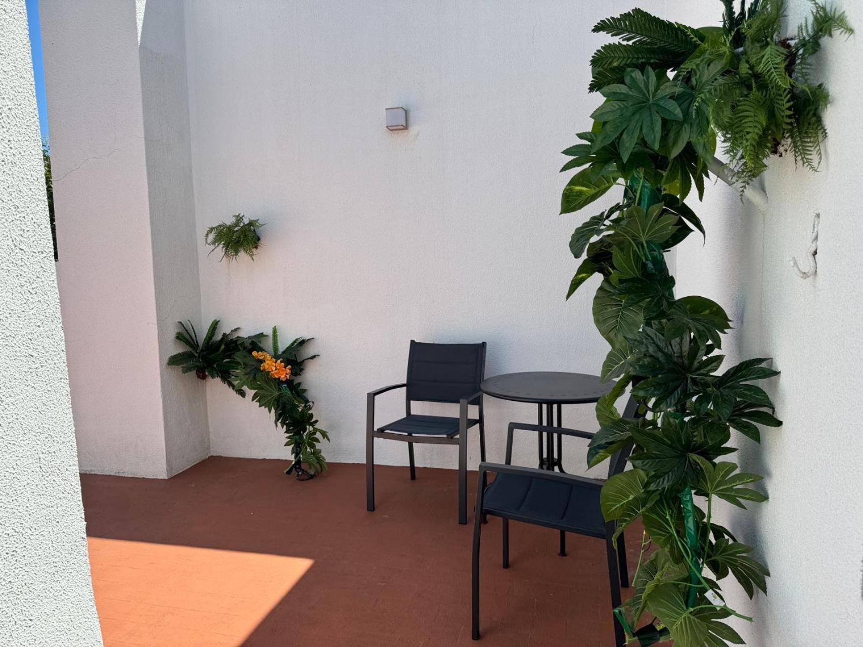 Aomo Art Space Hostel オエイラス エクステリア 写真